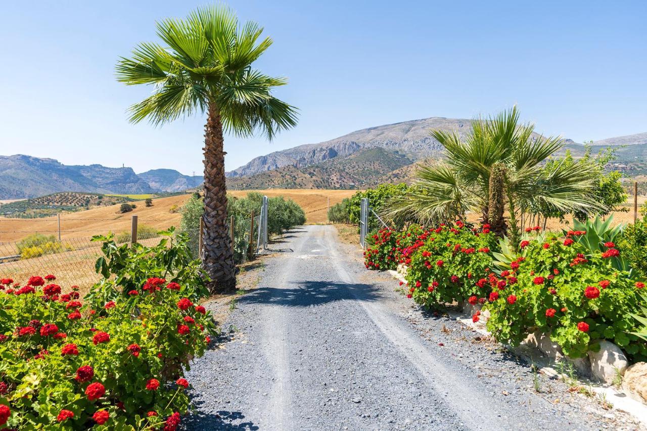 Alojamiento Rural La Era Del Quinto Bermejo Dış mekan fotoğraf